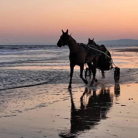 펜션 Maison Confort, 3 Chambres, A 2 Pas, Jardin Prive Sans Vis-a-vis, Equipements Modernes. - Fr-1-788-12