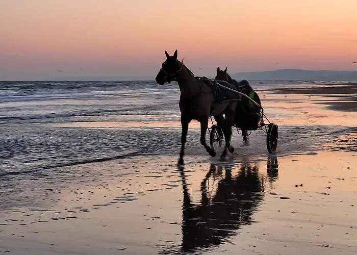Σπίτι διακοπών Maison Confort, 3 Chambres, A 2 Pas, Jardin Prive Sans Vis-a-vis, Equipements Modernes. - Fr-1-788-12
